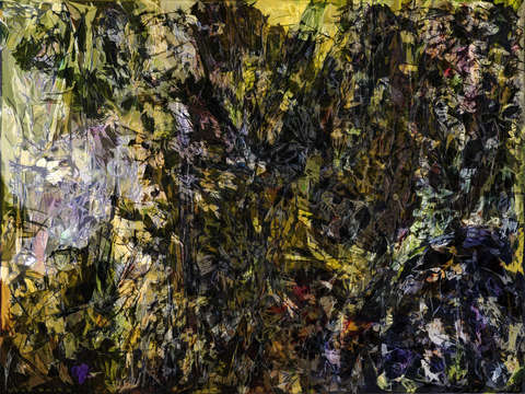 Landscape 13