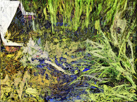 Pond with walkway c