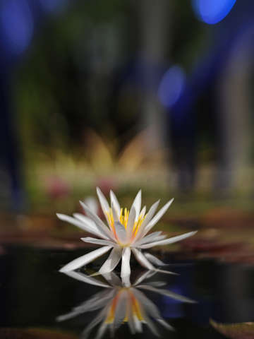 Reflections 3