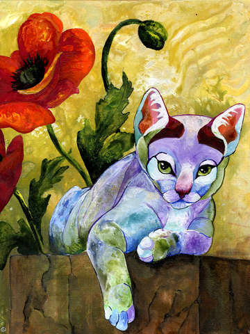 Sheba