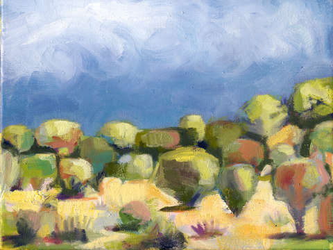 Sage brush