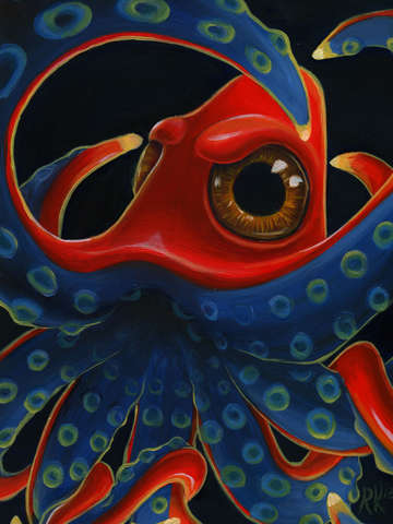 Deep Sea Squidopus