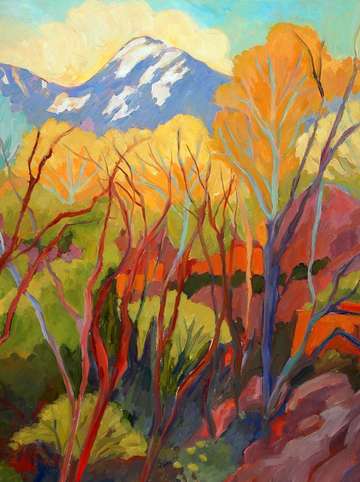 Aspens cottonwoods