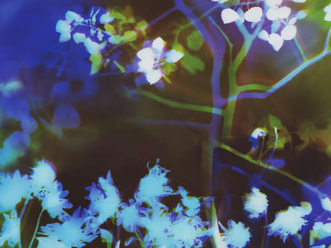 Night fall