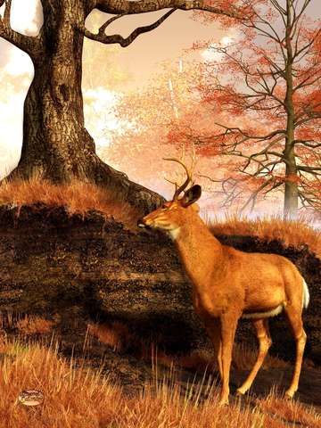 Autumn hart
