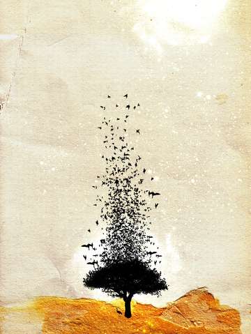The great escape