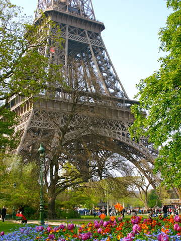 Eiffel tower in spring