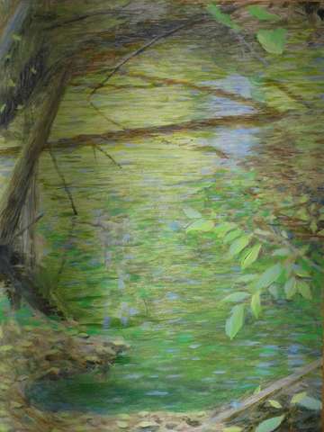 August pond