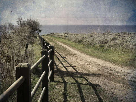 Pacific road