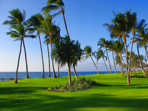 Maui Coast