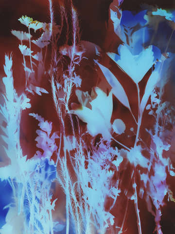 Garden glow