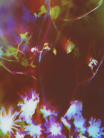 Night mysteries