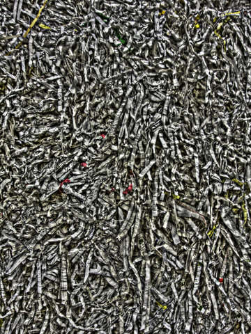 Enviromentally fragmented illussion 1