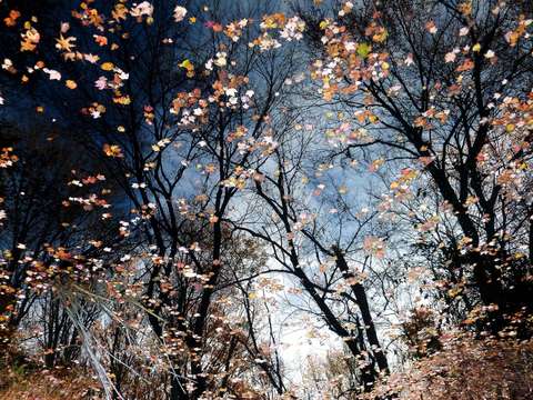 Nature stuff