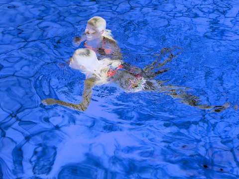 Swimming vortex