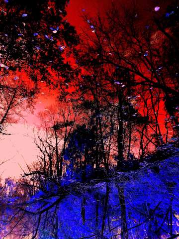 Multicolored scene