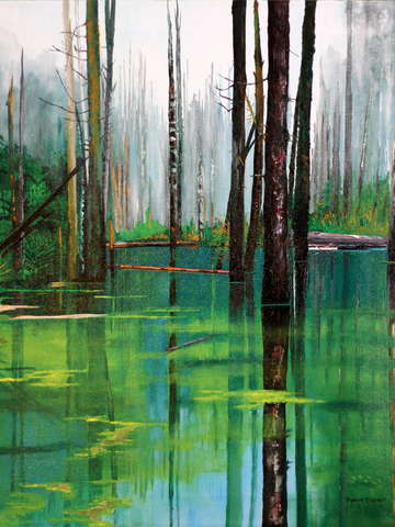 Water in the woods
