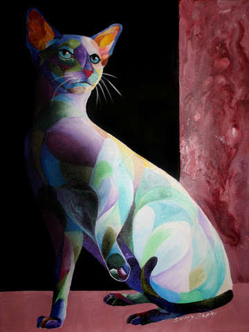Shadow siamese 1