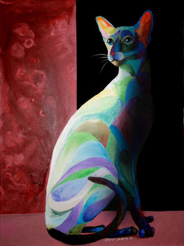 Shadow siamese 2