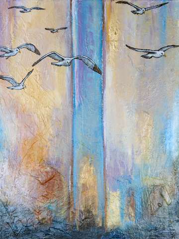 Gulls