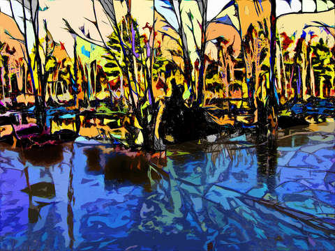 Swamp – Fall morning 2