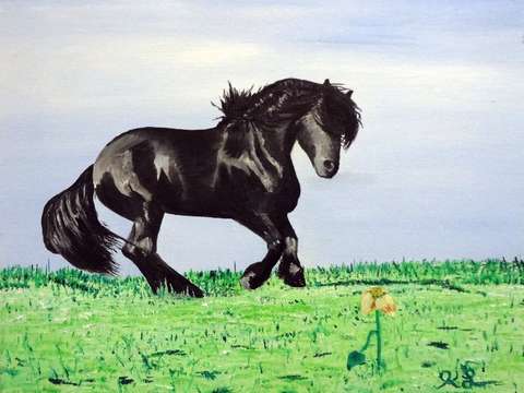 The horse and the flower