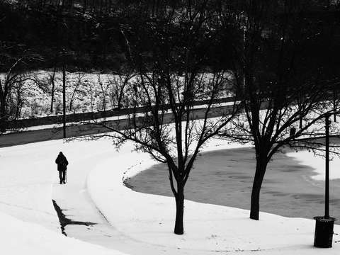 Winter walk
