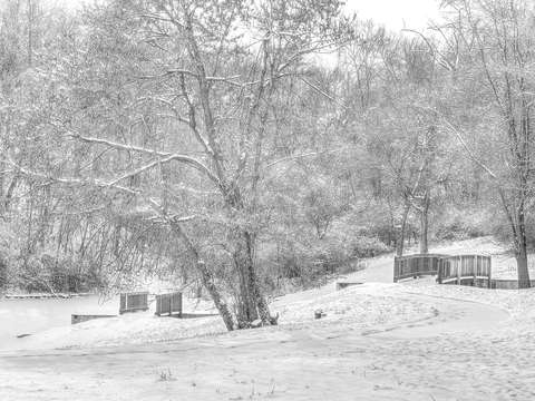 Lake in winter