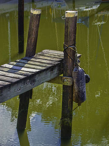 End of dock