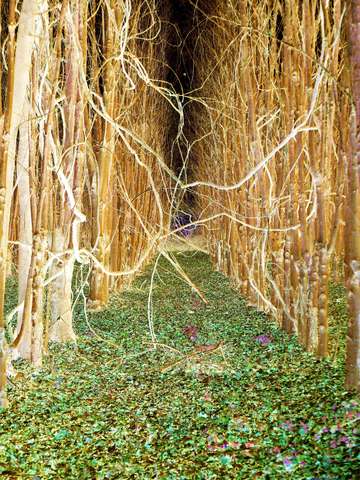 spooky path