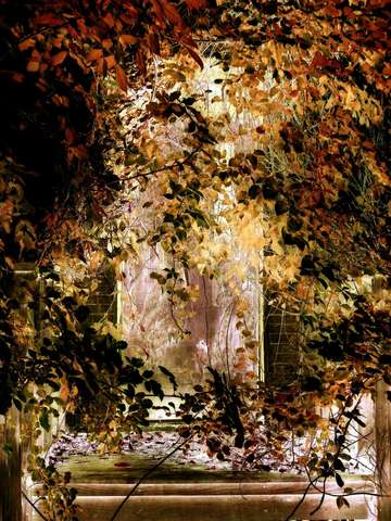 hidden door
