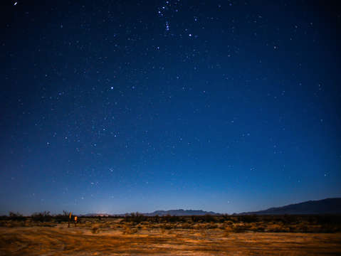 Desert nights