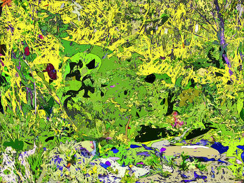 Undergrowth 6b