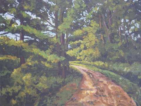 Forest path 2