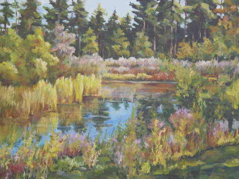 Rock valley college pond