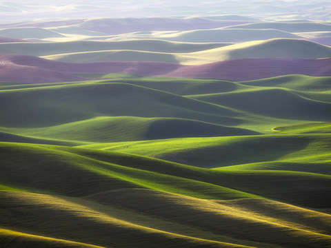 Velvet hills