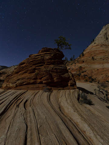 Zion in moonlight