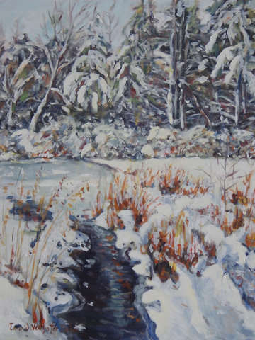 Rock Valley College Stream