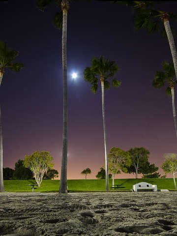 Moonlight bliss