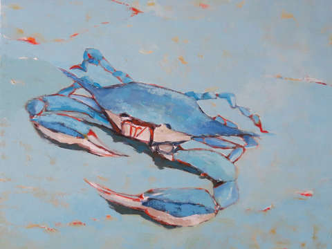 Blue Crab 1