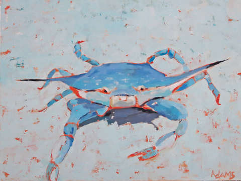 Blue crab 2