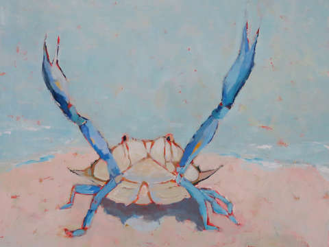 Blue crab 3