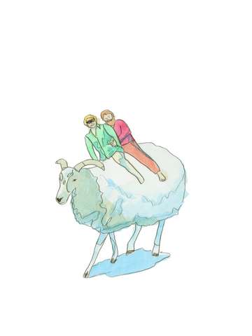 Sheep ride