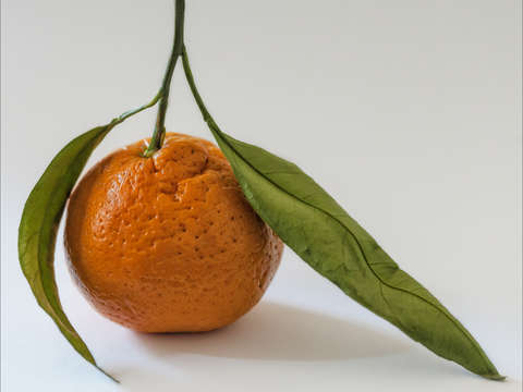 Tangerine