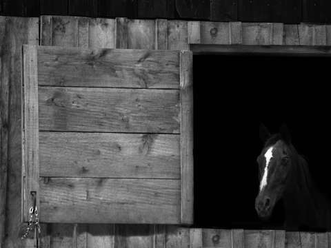 Behind the door