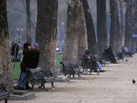 Lovers lane