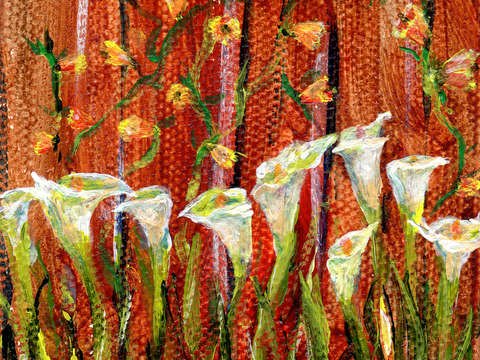 Calla lilies