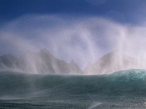 Offshores