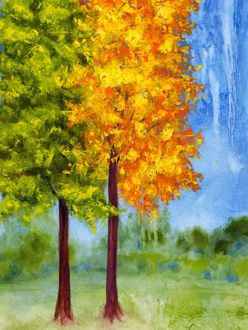 Harmony 4