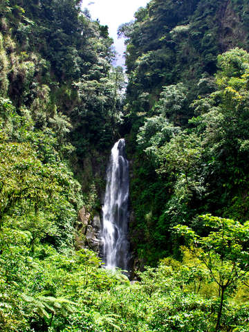 Cascada 2